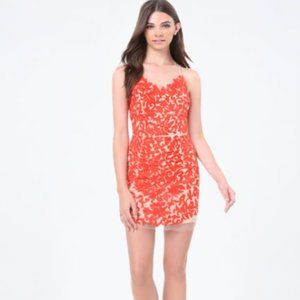 Bebe Rosa Embroidered Mesh Dress- NWT